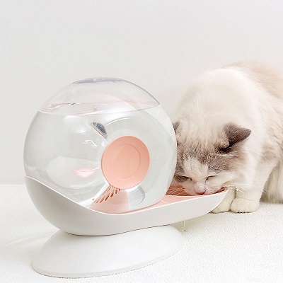 Cat Water Fountains: Sparking Feline Interest and Interaction