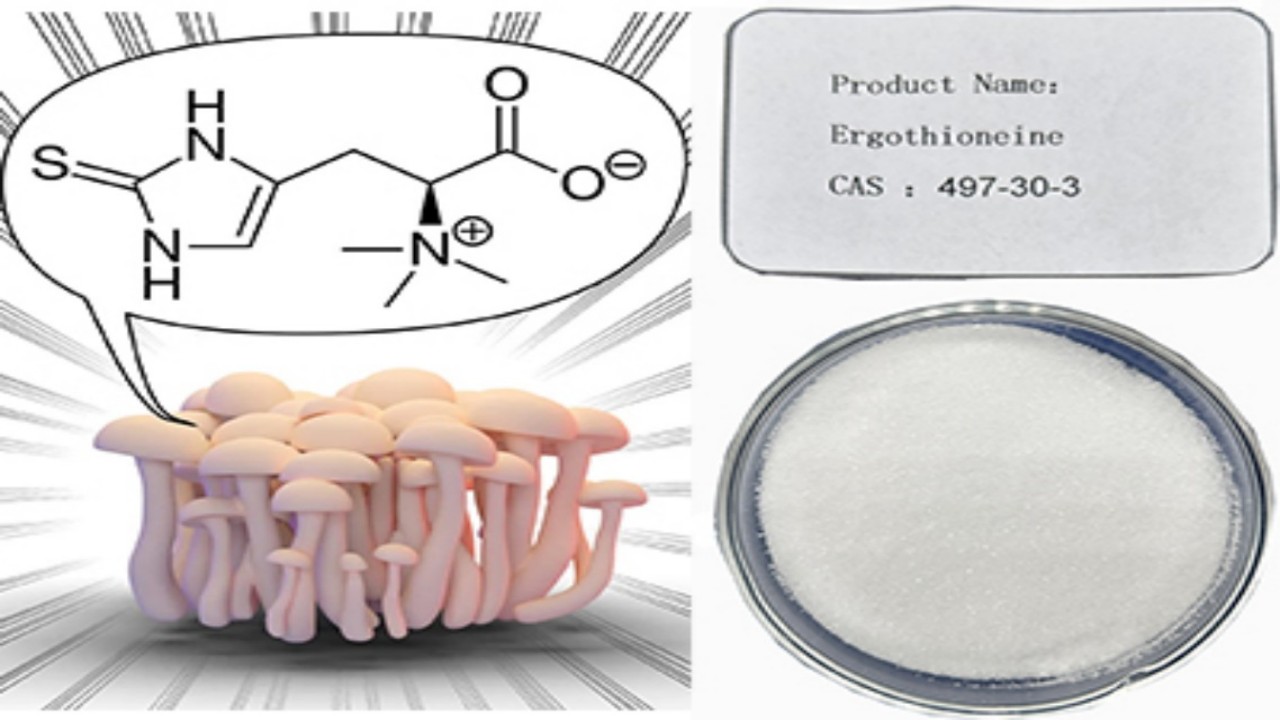 How Ergothioneine Supplements Can Improve Energy and Overall Wellness